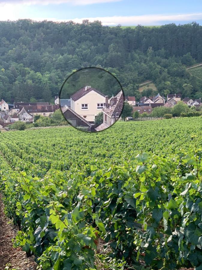 Maison De Campagne Entre Vigne Et Bois Шаблі Екстер'єр фото