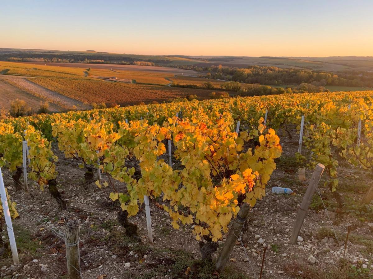 Maison De Campagne Entre Vigne Et Bois Шаблі Екстер'єр фото